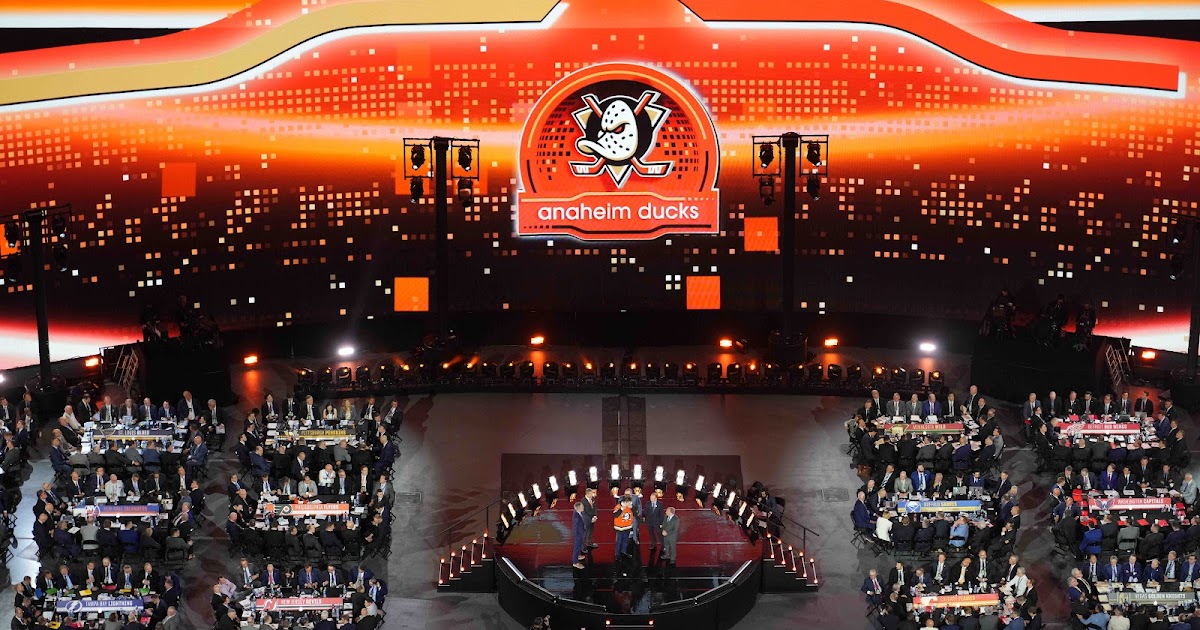 Anaheim Ducks Terminate Prospect's Contract