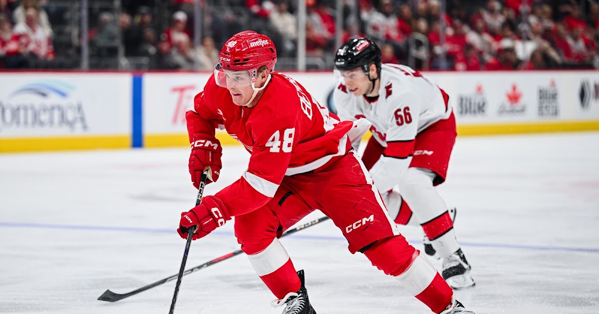 3 Red Wings Entering Their Final Year With The Team