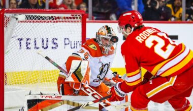 New Jersey Devils sign 4 Players to PTO's