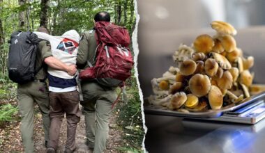 Rangers rescue mushroom-impaired hikers lost in New York's Catskills