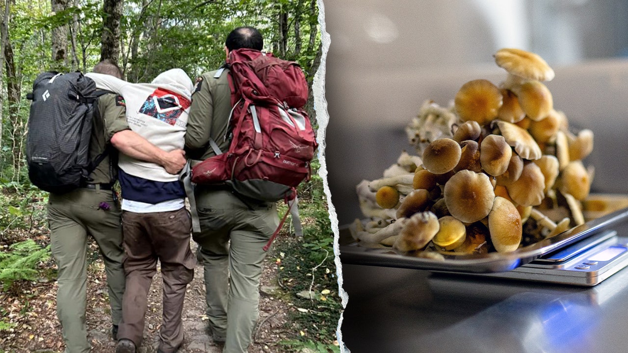 Rangers rescue mushroom-impaired hikers lost in New York's Catskills