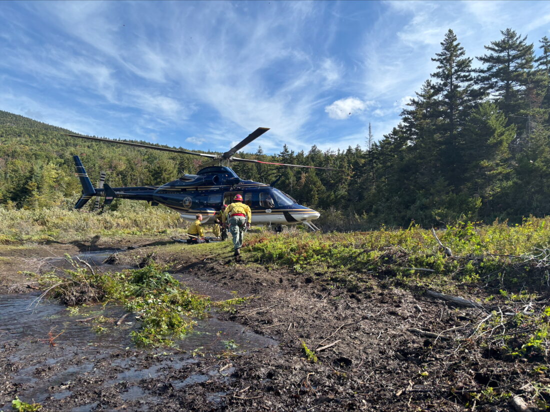 New York State DEC Forest Rangers Week in Review | News, Sports, Jobs