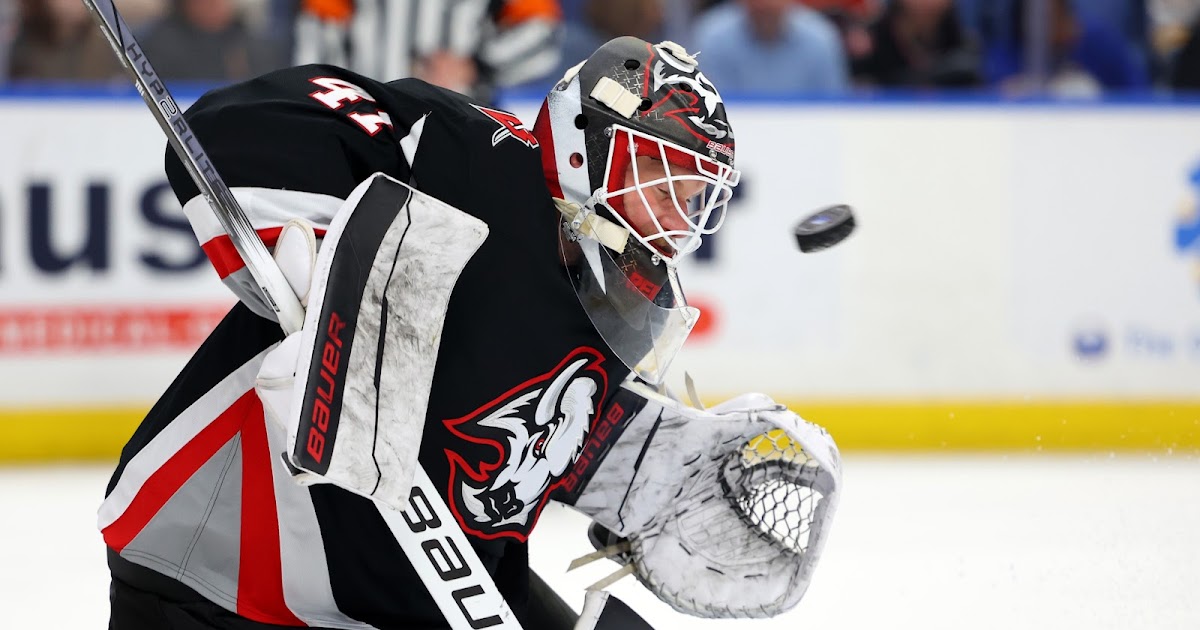 3 Teams That Could Sign James Reimer