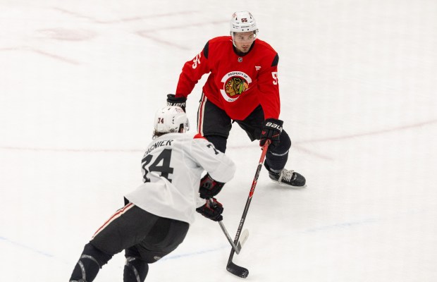 Blackhawks defenseman Artyom Levshunov, right, guards center Ryan Gagnier during practice at the Fifth Third Arena on Wednesday, Sept. 10, 2025. (Dominic Di Palermo/ Chicago Tribune)