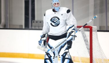 Utah Mammoth's Karel Vejmelka shows off his new pads – Deseret News