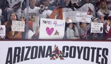 Arizona hockey hopes revived with new committee and Doan family at the helm