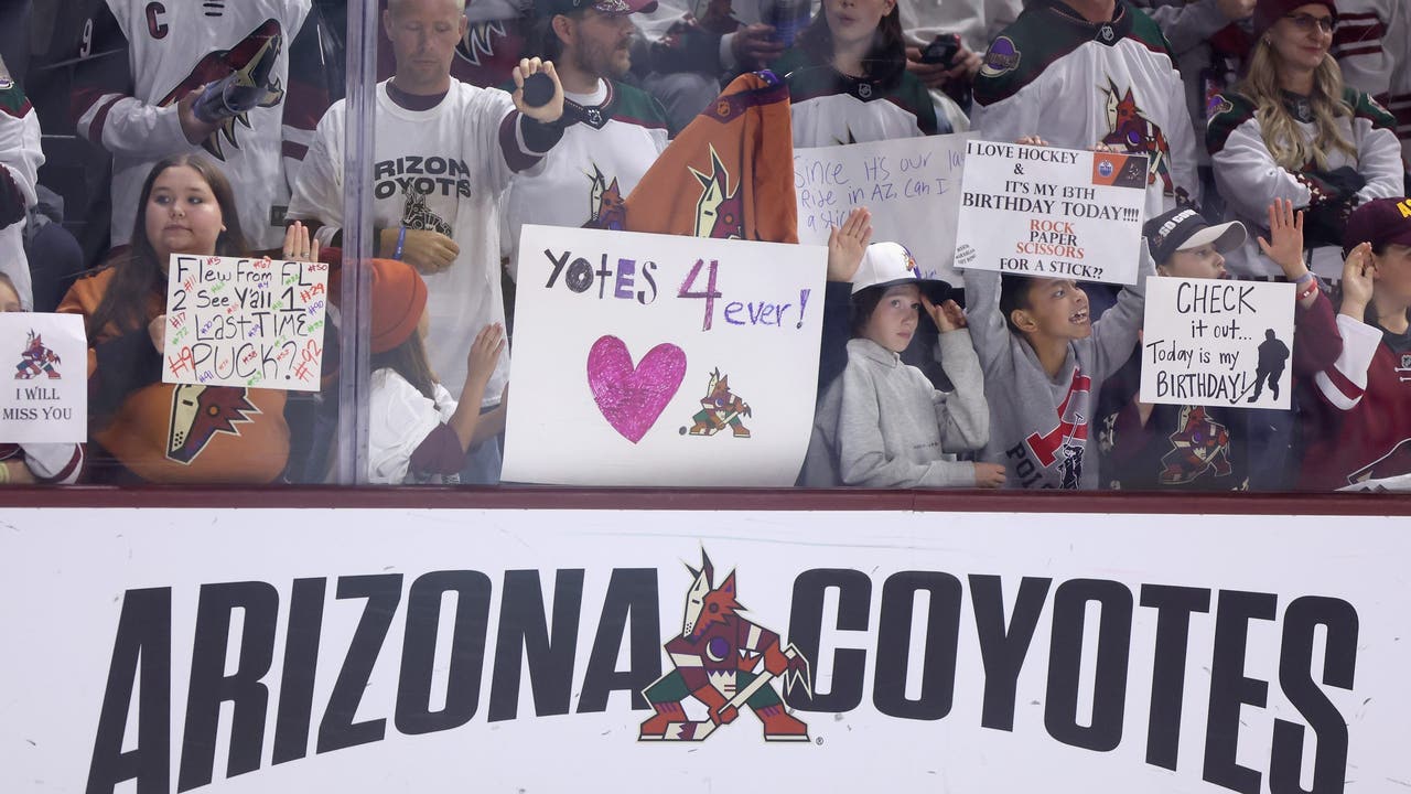 Arizona hockey hopes revived with new committee and Doan family at the helm