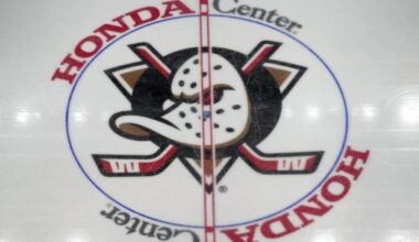 Billionaire Anaheim Ducks Owner Henry Samueli’s Net Worth Sees Stratospheric Rise