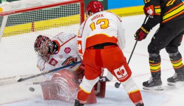 Damian Clara shuts out Mountfield; first win for Brynäs