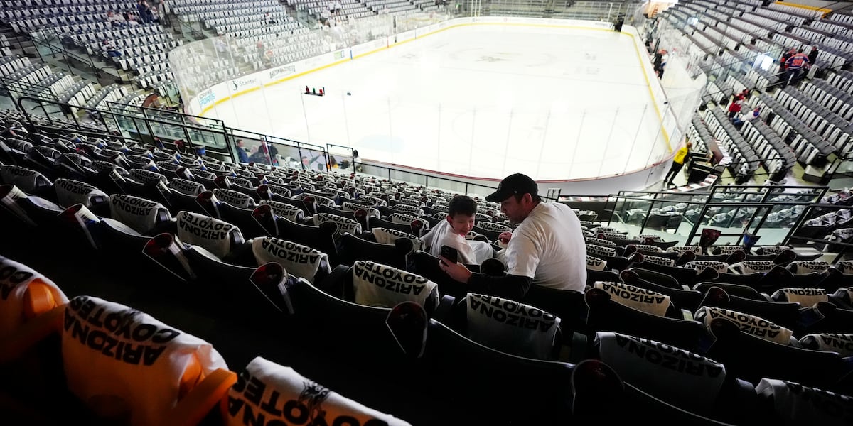 Maricopa County leaders create panel to help bring NHL hockey back to Arizona
