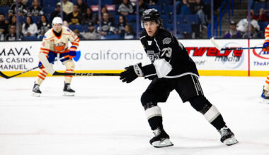 LA Kings Training Camp Preview: Francesco Pinelli