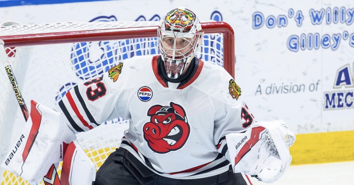 Rockford IceHogs | Commesso and Six Others Assigned to IceHogs
