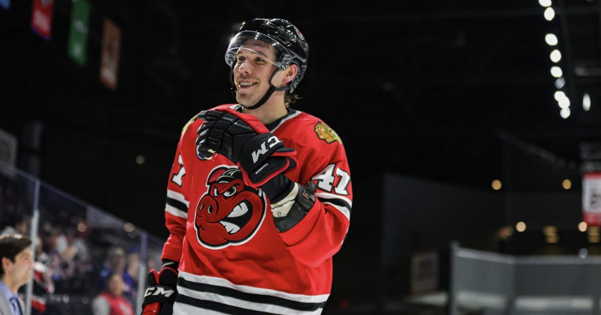 Rockford IceHogs | Blackhawks Prospect Profile