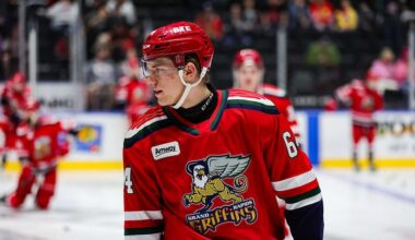 Michael Brandsegg-Nygard, Red Wings