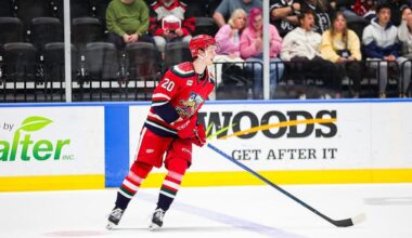 Anton Johansson, Red Wings