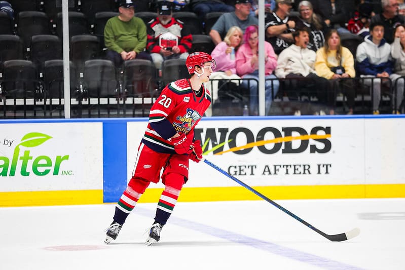 Anton Johansson, Red Wings