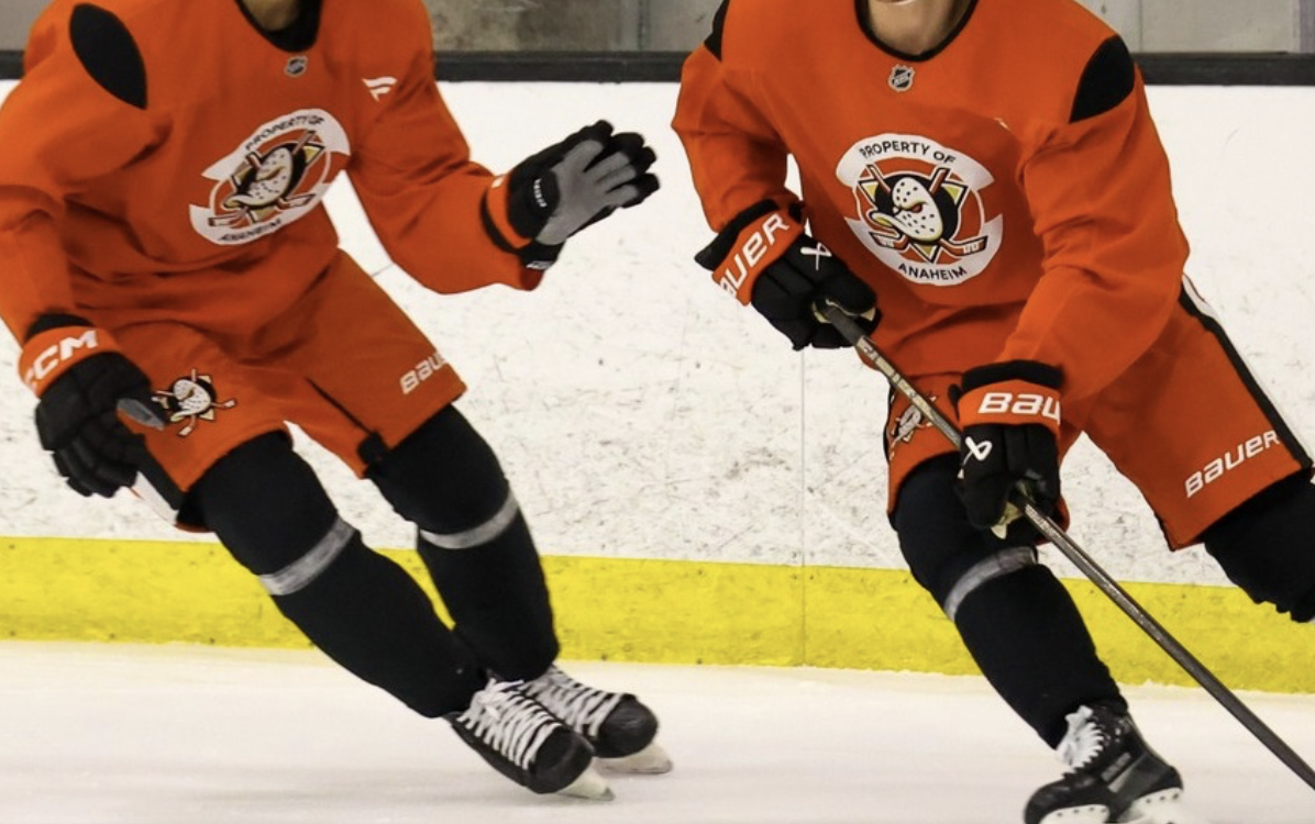 Anaheim Ducks Unexpectedly Terminate Young Top Prospect's Contract