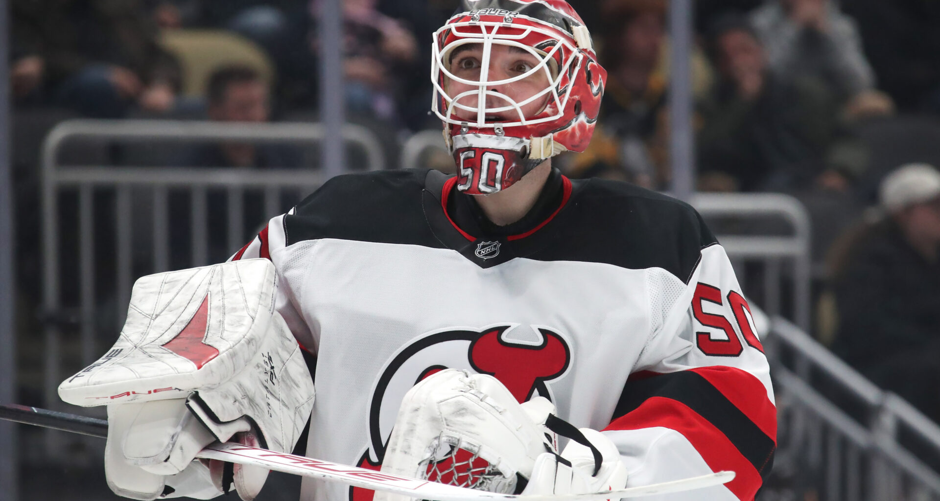 Could the Maple Leafs Pounce if Nico Daws Becomes Available?