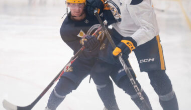 Download app from appStore