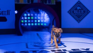 'Stanley Pup' to return in 2025; Utah's Kerfoot will participate – Deseret News