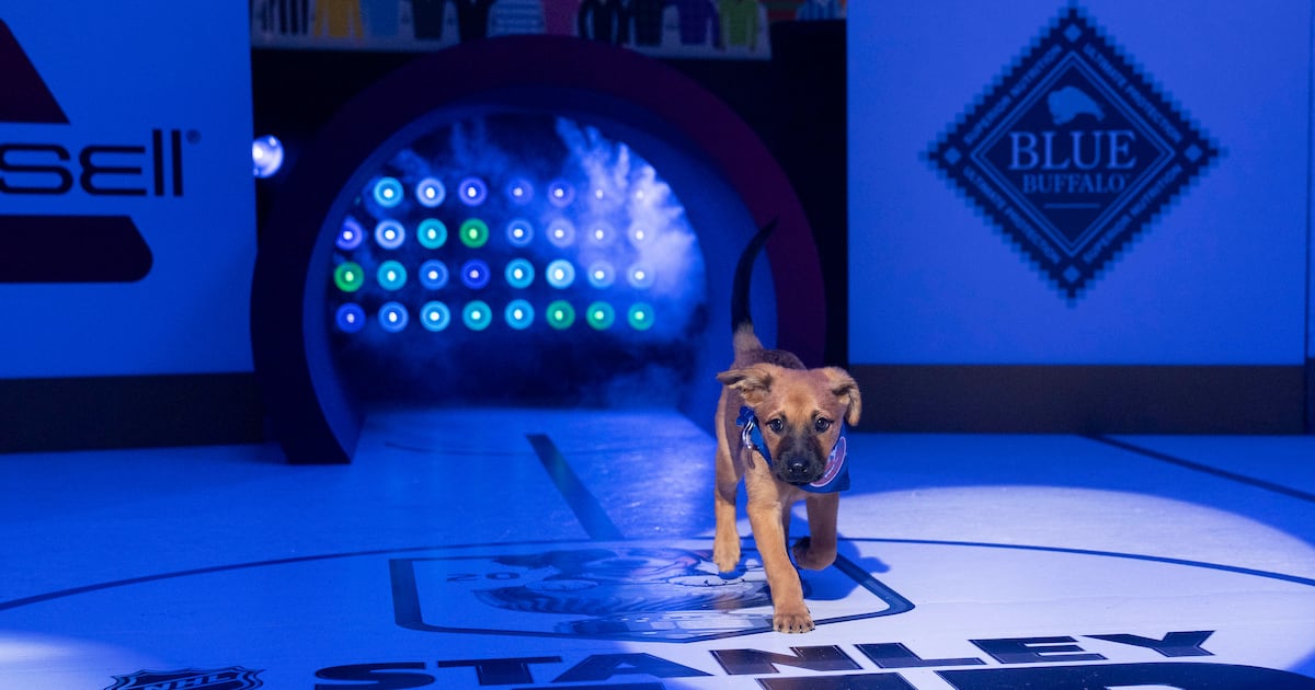 'Stanley Pup' to return in 2025; Utah's Kerfoot will participate – Deseret News