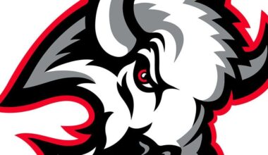 Sabres announce "Goathead" jersey schedule |