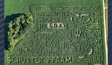 Schuster's Farm pays tribute to Badger women's hockey national title with corn maze | News