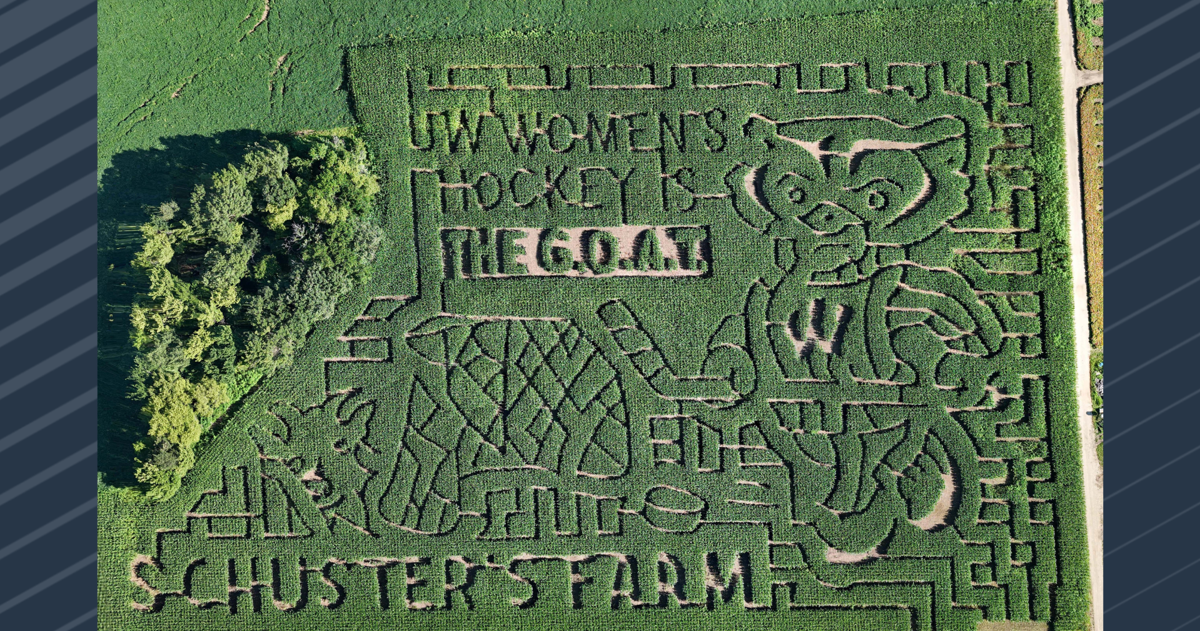 Schuster's Farm pays tribute to Badger women's hockey national title with corn maze | News