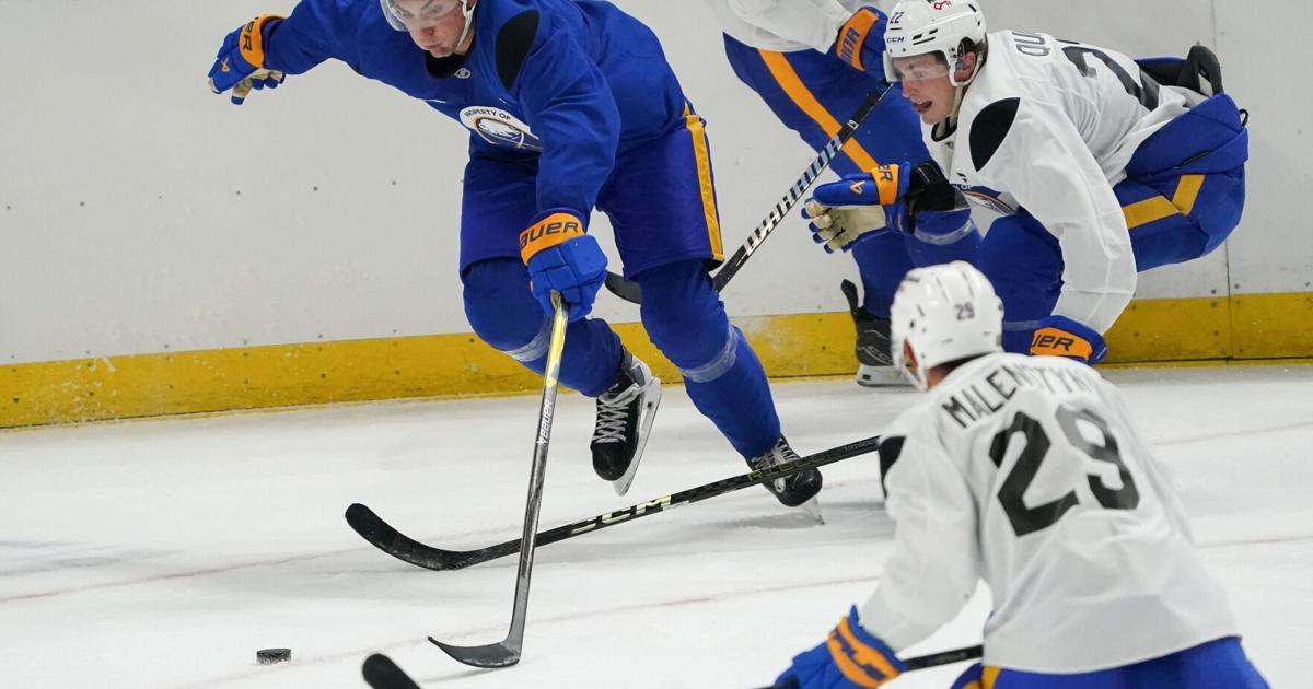 Sabres add toughness to roster, Alex Tuch makes camp debut - Buffalo News