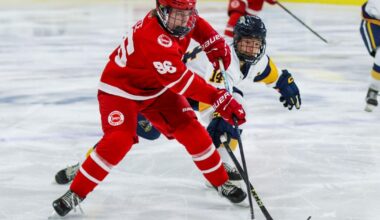 Husker Hockey sweeps weekend series against Augustana | Sports