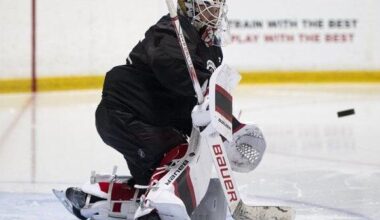 NHL pre-season roundup: Ullmark nets shutout as Senators beat Devils 2-0 | National Sports