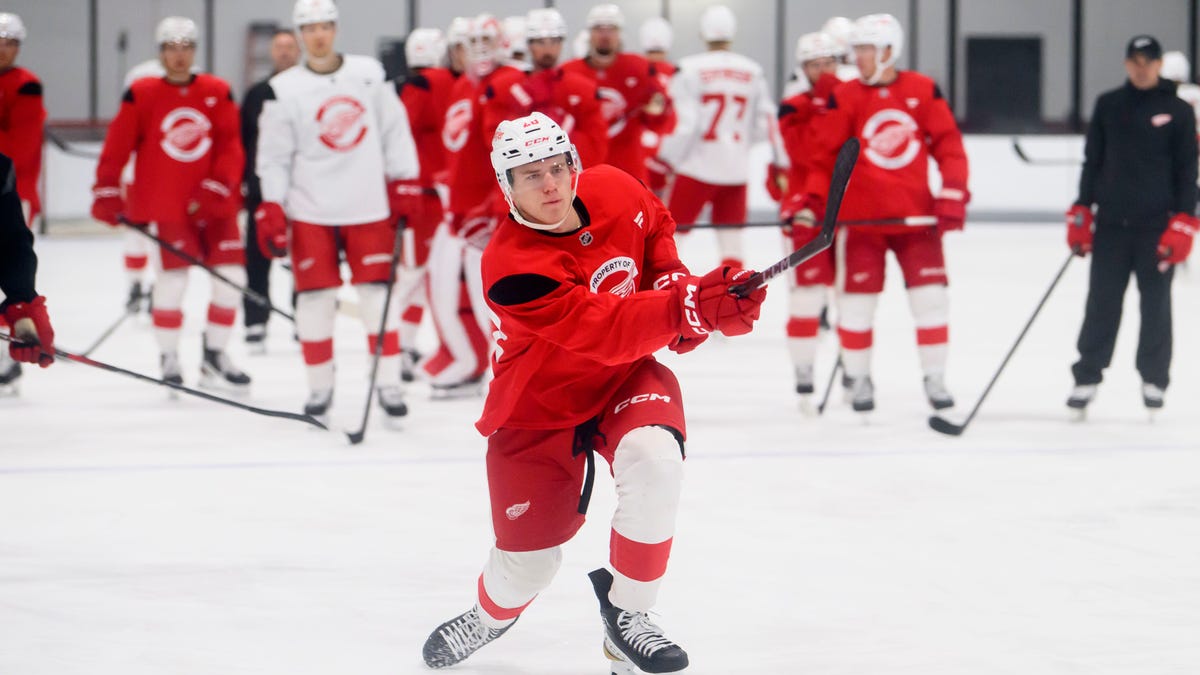 Red Wings prospects dominate Dallas 6-2