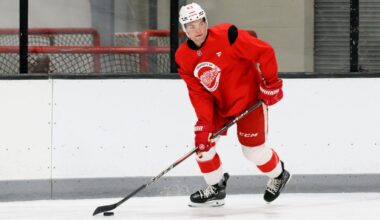 Detroit Red Wings hoping added weight, strength will help Carter Mazur