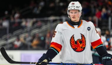 Coachella Valley Firebirds potential roster for 2025-26 season