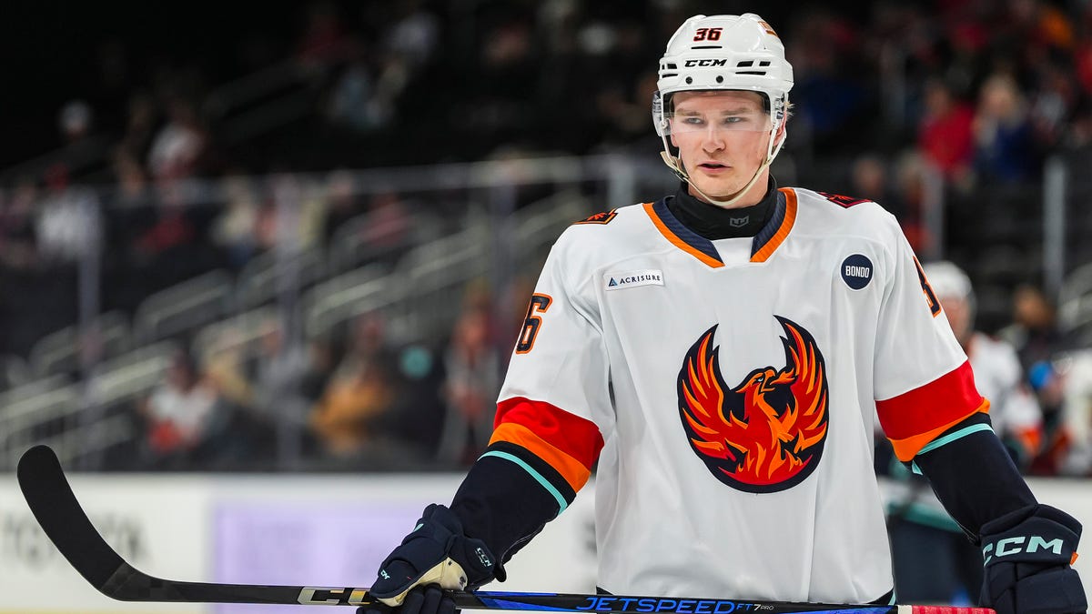 Coachella Valley Firebirds potential roster for 2025-26 season