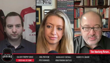 ‘Great opportunity’: OHL and USHL looking at Niagara Falls for a potential expansion franchise