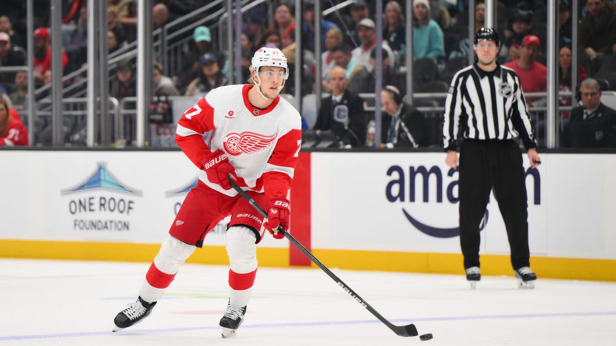 Out for Detroit Red Wings training camp