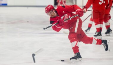Detroit Red Wings might already have a checking line that sticks