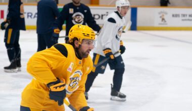 Predators' Nicolas Hague out 4-6 weeks with upper body injury