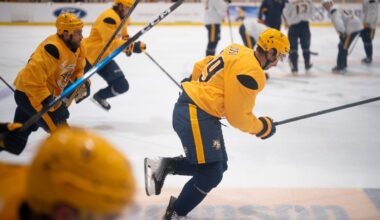 Three observations from the Predators' preseason sweep of Panthers