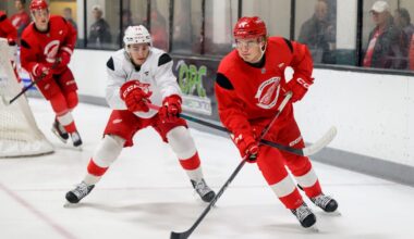 Sandin-Pellikka uses smarts, offensive skills to become exciting Wings prospect