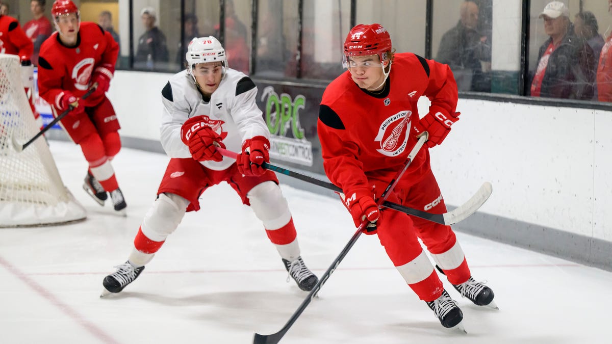 Sandin-Pellikka uses smarts, offensive skills to become exciting Wings prospect