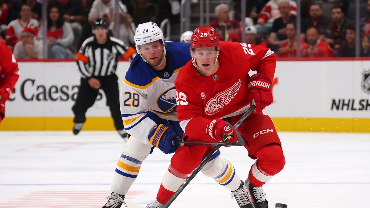 Detroit Red Wings' James van Riemsdyk absent, Nate Daneilson injured