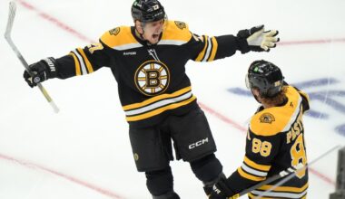 Both Lindholms looking for better seasons with Bruins