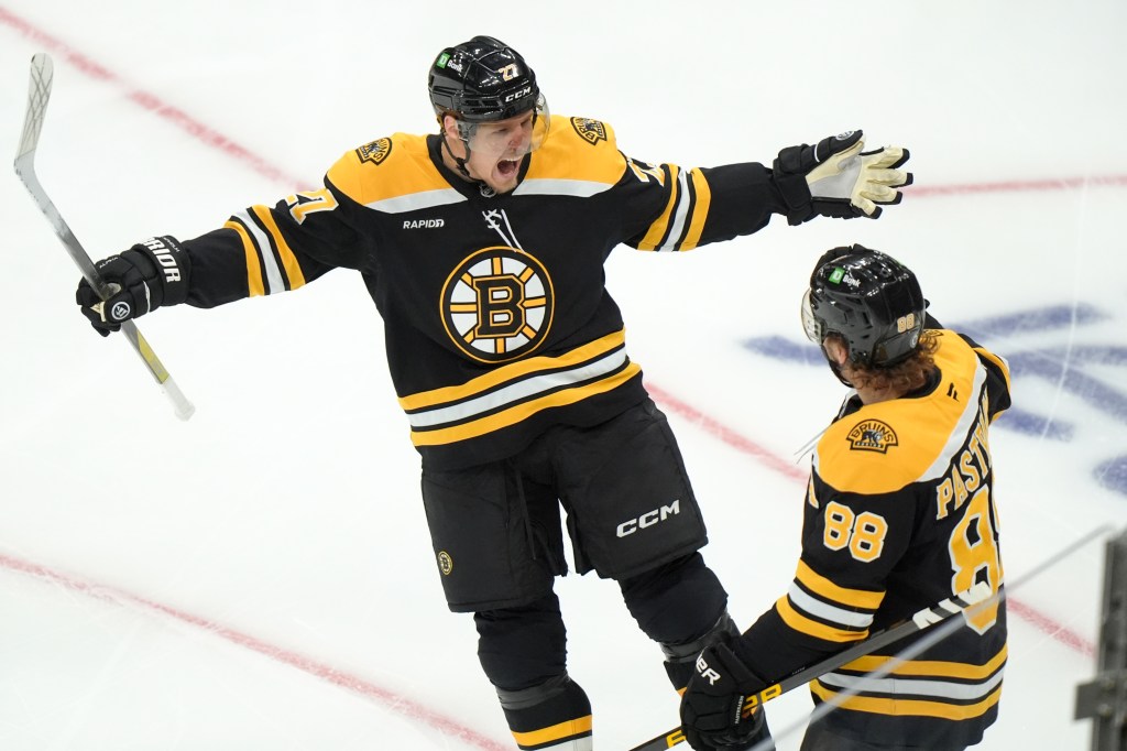 Both Lindholms looking for better seasons with Bruins