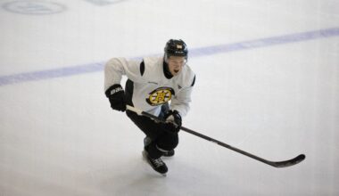 dans-locmelis-boston-bruins