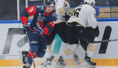 Nikita Artamonov HC Torpedo Nizhny Novgorod