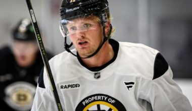 Lineup is coming into focus