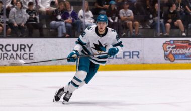 Why Did Sharks Send Down Chernyshov, Bystedt Already? (+)
