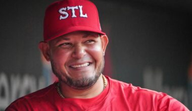 Pigs, furniture, appliances and a horse stolen from Yadier Molina property, Puerto Rican police say